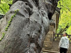 -青岛崂山太清宫
