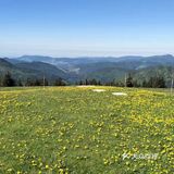 高山、草地、丛林、溪流、湖泊，一次性饱览个够