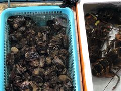 -霞涌市场海鲜摆卖区