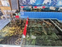 -七鲜渔港美食餐厅(巽寮湾海景店)