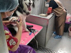 -宠福鑫康馨动物医院·骨科·眼科