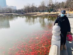 -西海子公园
