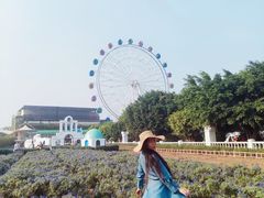-百万葵园