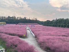 -嘉北郊野公园