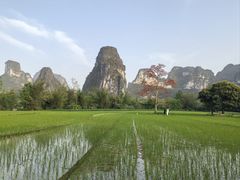 -明仕田园