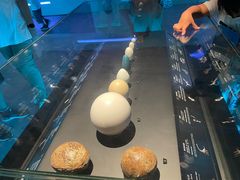 -香港科学馆