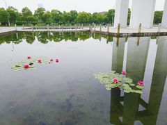 -瑶湖郊野森林公园
