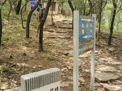 -北京鹫峰国家森林公园