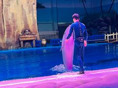 -华夏文旅海洋公园