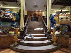 -more than meow吴止猫主题餐厅(承德 中船汇店)