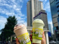 -茉酸奶(春熙路店)