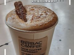 -BOBAC