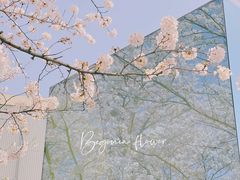 -龙美术馆(西岸馆)