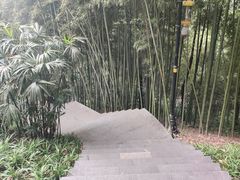 -龙头寺公园