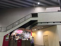 -谢列梅捷沃国际机场