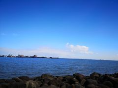 -吴淞炮台湾湿地森林公园烧烤区