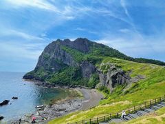 -涉地可支