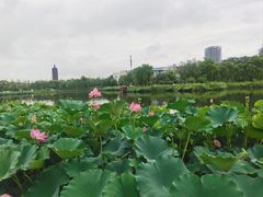 -西海子公园
