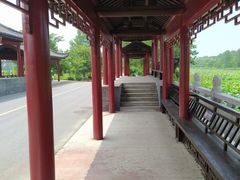 -泗洪洪泽湖湿地景区