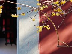 -钱王祠