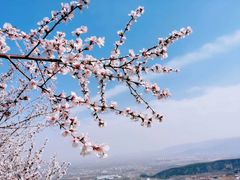 -北京凤凰岭