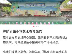 -光明农场大观园