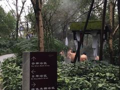 -青城道汤池