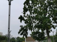 -滨湖塘西河公园