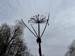 -洮儿河国家湿地公园