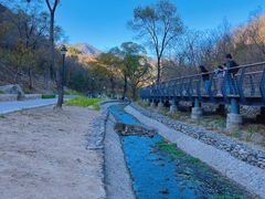 -白水寺森林公园