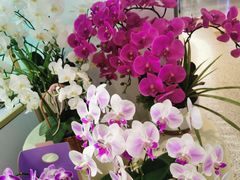 -EPOQUE·一刻花店(兴业太古汇店)