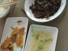 -老乡鸡(新邻天地店)