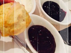 华尔道夫酒店廊吧-LONG BAR 廊吧(外滩华尔道夫酒店)