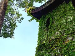 -台州府城(东湖)