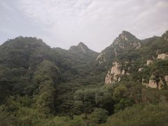 -大岭沟猕猴桃谷风景区