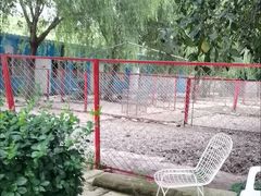 -宠物寄养训练学校