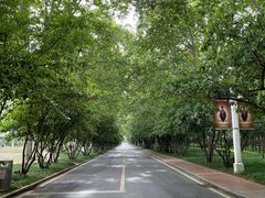 -河南省黄河迎宾馆