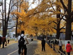 -四川大学(华西校区)
