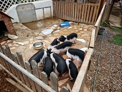 -HERRE·FARM 赫尔露营农场·团建聚会包场