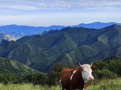 -灵山