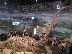 -自贡恐龙博物馆