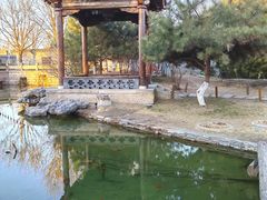 -三里河公园