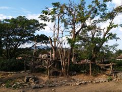 -清迈夜间动物园