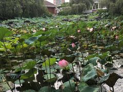 -东莞市可园博物馆