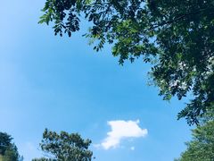 -木兰云雾山