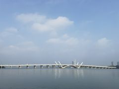 -长广溪湿地公园