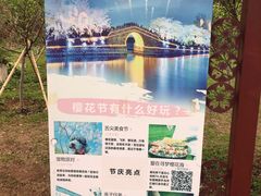 -天适樱花悠乐园