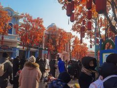 -沈阳方特欢乐世界