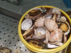 -绿岛港轩海鲜烤肉涮锅自助餐厅