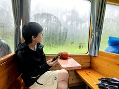 -莫尔道嘎国家森林公园